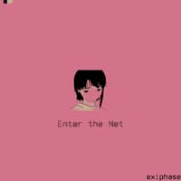 Enter the Net