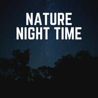 Nature Night Time