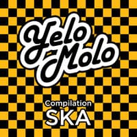 Compilation SKA