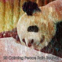 28 Calming Peace Rain Sounds