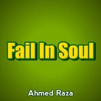 Fail In Soul