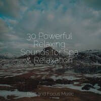 30 Powerful Relaxing Sounds for Spa & Relaxation