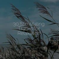 30 Stimulating Tracks for Relaxation