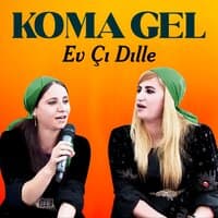 Ev Çı Dılle