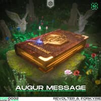 Augur Message