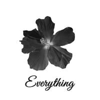 Everything