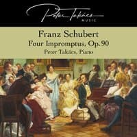 Four Impromptus in C Minor No. 1, Op. 90: Allegro molto Moderato