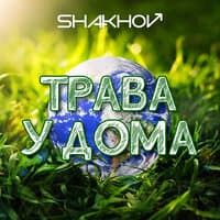 Трава у дома