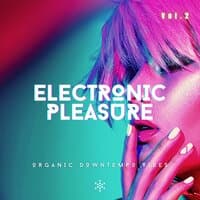 Electronic Pleasure, Vol. 2