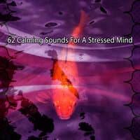 62 Calming Sounds For A Stressed Mind