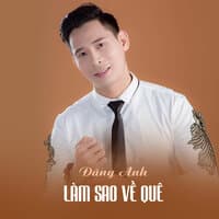 Làm Sao Về Quê