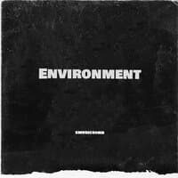 Environment