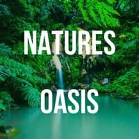 Natures Oasis