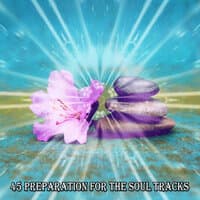 45 Preparation For The Soul Tracks