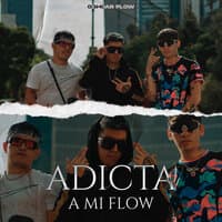 Adicta a Mi Flow