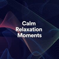 Calm Relaxation Moments