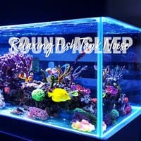 Sound Asleep: Relaxing Fish Tank Noise