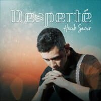 Desperté