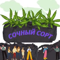 Сочный сорт