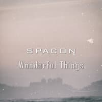 Wonderful Things