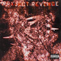 Prxject Revenge 1