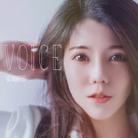 Voice