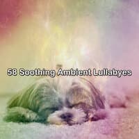 58 Soothing Ambient Lullabyes