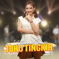 Joko Tingkir