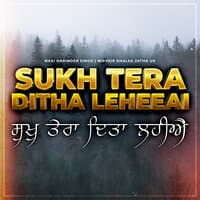 Sukh Tera Ditha Leheeai