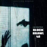 Block Brawl 48