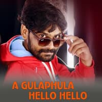 A Gulaphula Hello Hello