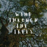 Wind Through the Trees