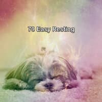 79 Easy Resting