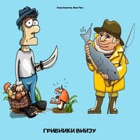 Грибники внизу