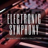 Electronic Symphony, Vol. 1