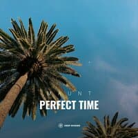 Perfect Time