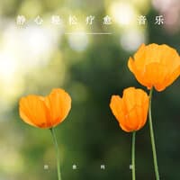 静心轻松疗愈轻音乐