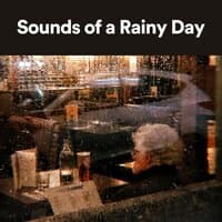 Sounds of a Rainy Day