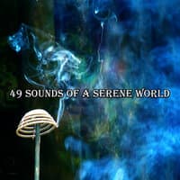 49 Sounds Of A Serene World