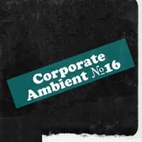 Corporate Ambient №16