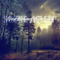 Sound Asleep: Wind Blowing in the Forest