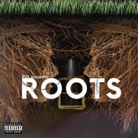 Roots