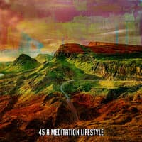 45 A Meditation Lifestyle