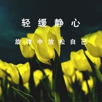 轻缓静心旋律中放松自己