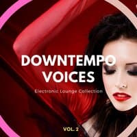 Downtempo Voices, Vol. 2