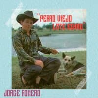 Perro Viejo Late Echao