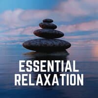 Essential Relaxation