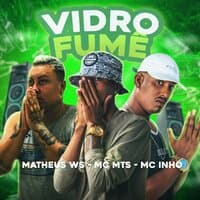 Vidro Fumê