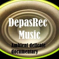 Ambient delicate documentary