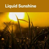 Liquid Sunshine